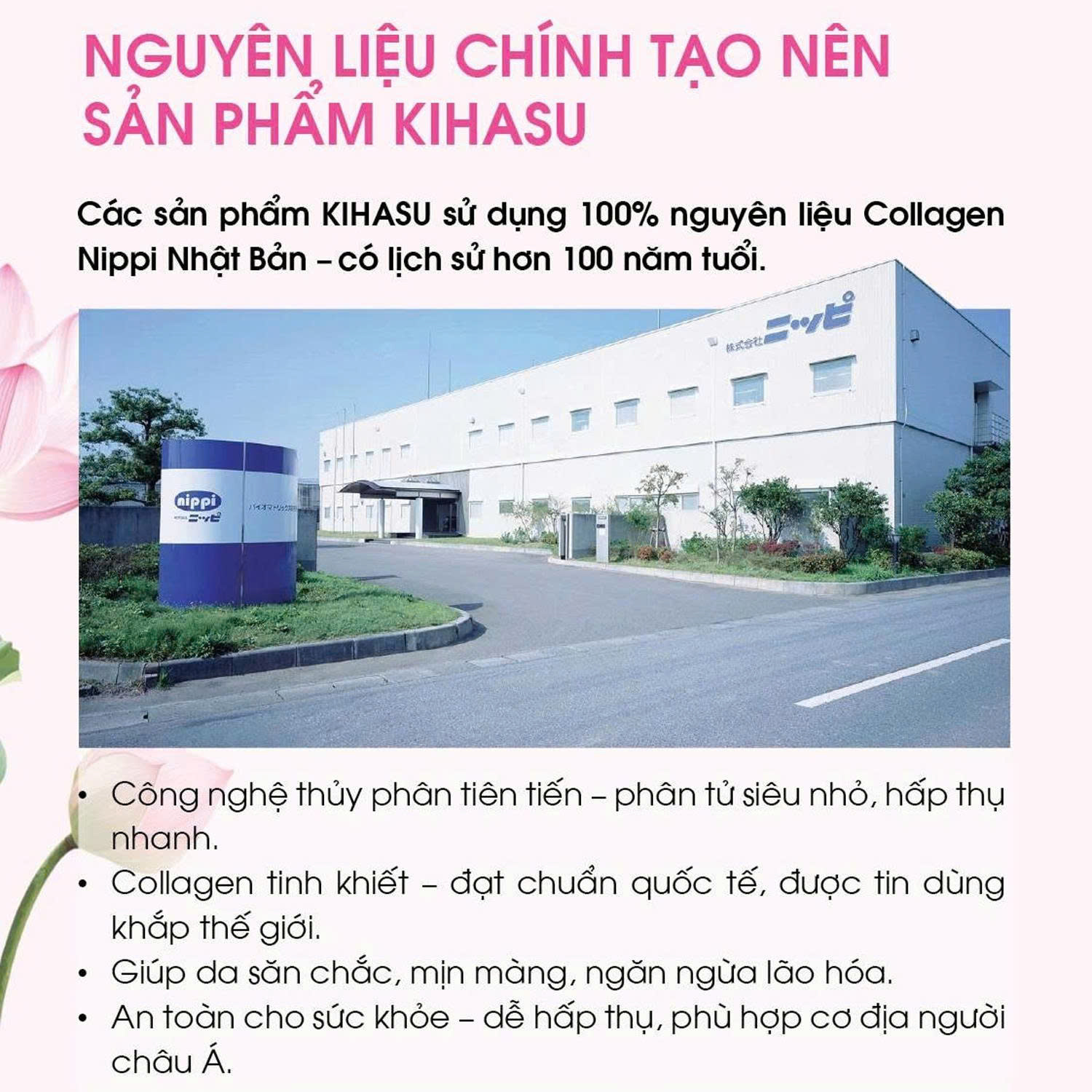 Nguyên liệu Collagen Nippi Nhật Bản