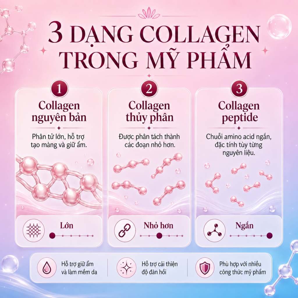 Phân biệt collagen nguyên bản collagen thủy phân và collagen peptide Phân biệt collagen nguyên bản collagen thủy phân và collagen peptide